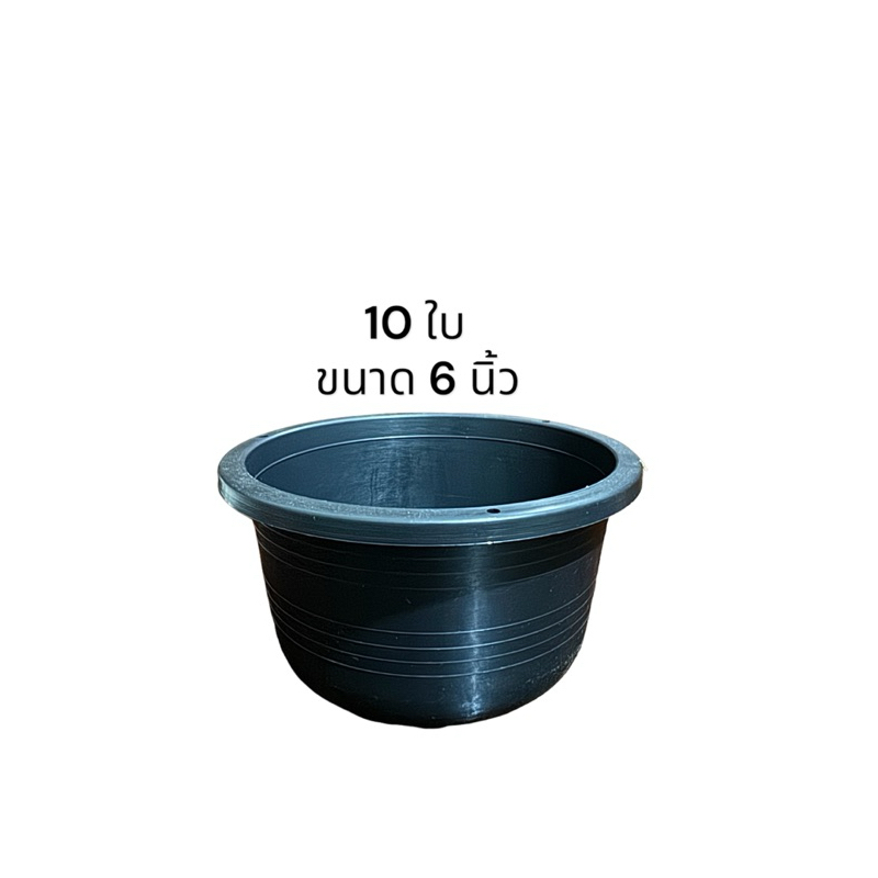 10 ใบ กระถางแบน ขนาด 6 นิ้ว กระถางพลาสติก เกรด A
