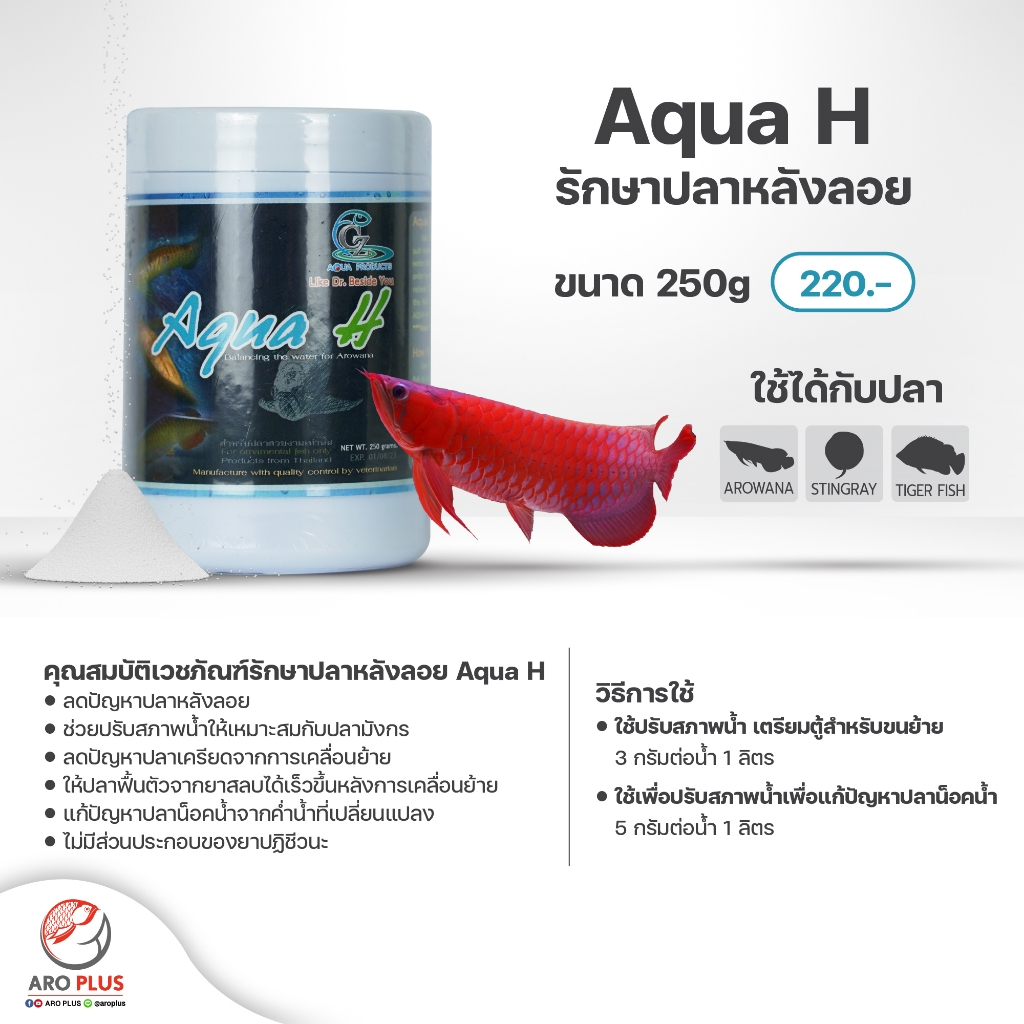 Aqua H หลังลอย น็อคน้ำ