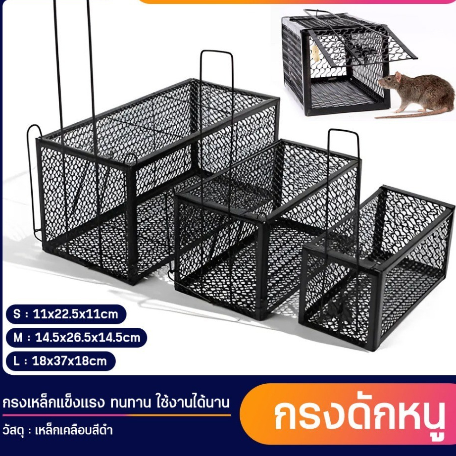 กรงดักหนูสปริง2ตัวโครงหนา กรงดักหนู กรงหนู กรงดักหนู 3 ขนาด กรงดักหนูแบบมีโครง กรงดักหนูสปริงคู่ กรงดักหนูนา กรงดักหนูเล