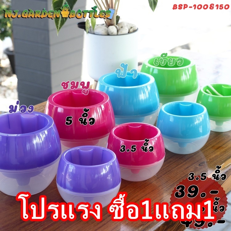 (1แถม1) กระถางต้นไม้พลาสติกสีพาสเทล ขนาด 3.5 - 5 นิ้ว หลากหลายสี ทรงมินิมอลน่ารัก มีรูเทน้ำ และสามารถเก็บกักน้ำได้ในตัว