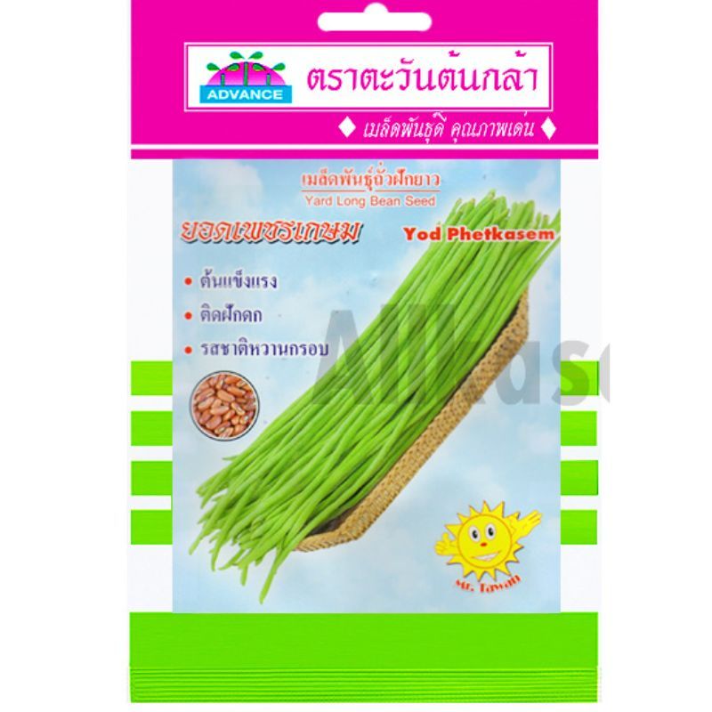 เมล็ดถั่วฝักยาว ยอดเพชรเกษม