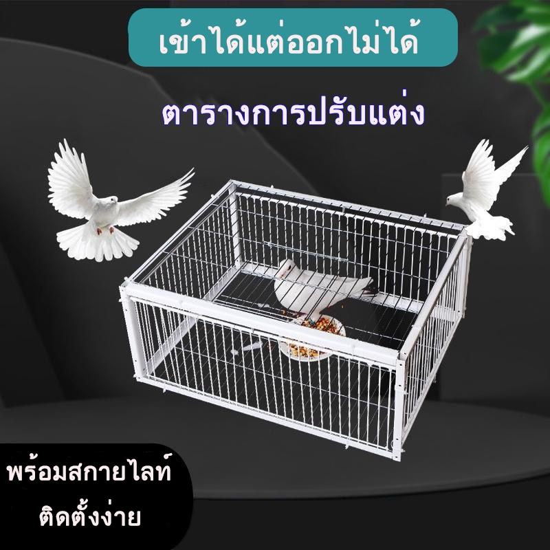 เพนียดดักนก กรงดักนกขนาดใหญ่ กรงกับดักนกพิราบ กรกดักนกเขา กรงนกพิราบ ที่ดักนก กรงต่อนก กรงนกทางเดียว