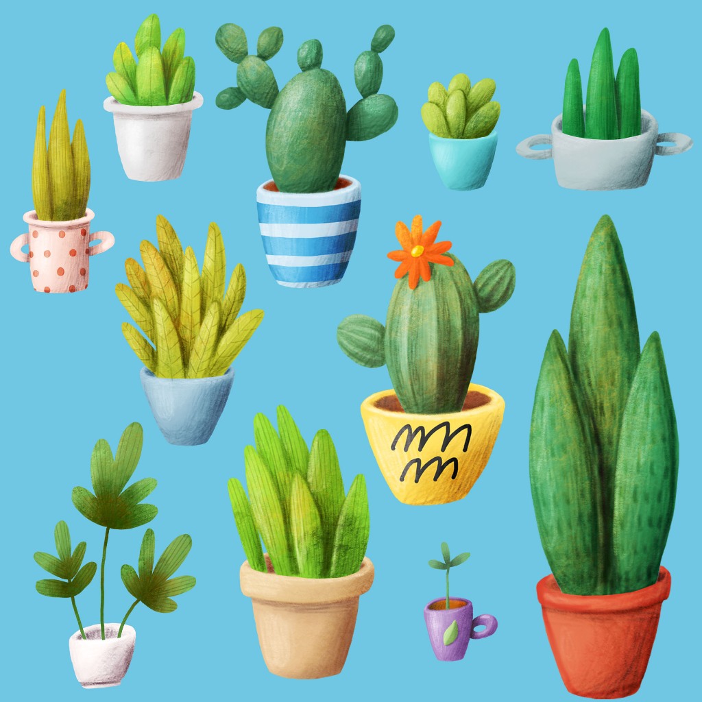 ตัวรีดติดเสื้อแคสตัส cactus สีสวยๆ FP.01 set.2 รีดติดง่ายทุกเนื้อผ้า