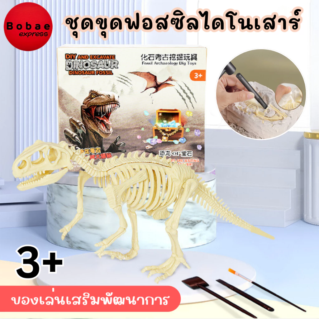 ชุดขุดฟอสซิลไดโนเสาร์ ขุดฟอสซิล ฟอสซิลไดโนเสาร์ ของเล่นส่งเสริมการเรียนรู้ เล่นสนุก ฝึกสมาธิ เสริมพัฒนาการ V87 พร้อมส่งจ