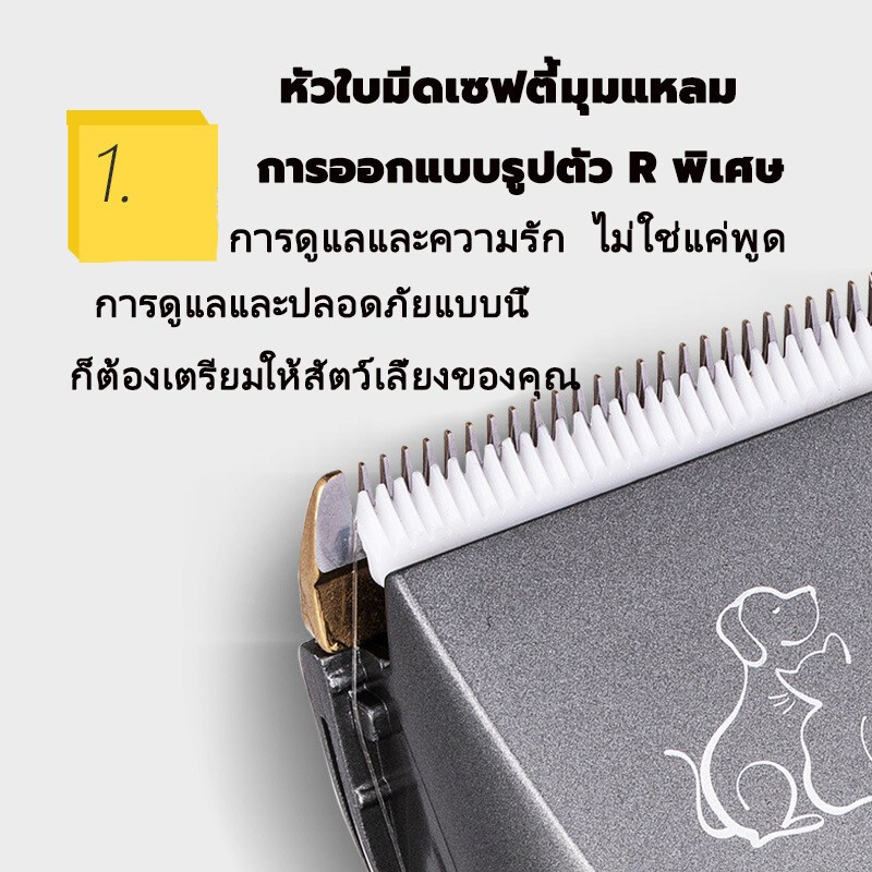 รูปภาพ 4