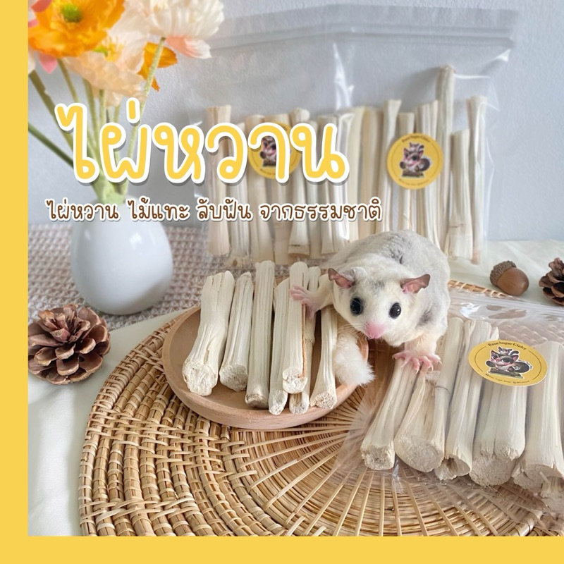 ไผ่หวานออแกนิกจากธรรมชาติ ไม้แทะ ไม้ลับฟันสำหรับ ชูการ์ กระต่าย กระรอก เม่นแคระ หนูแกสบี้