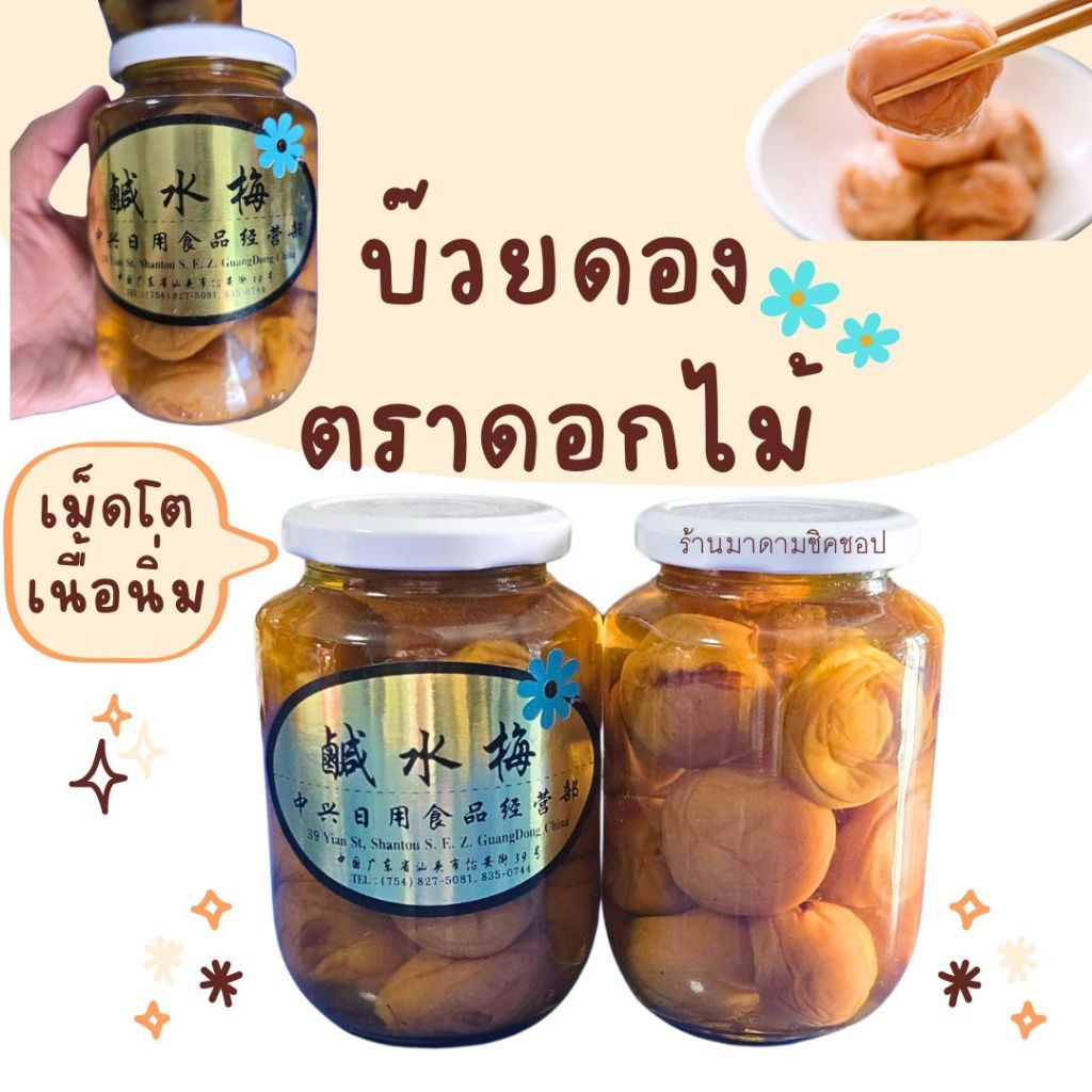 บ๊วยดองเม็ดใหญ่สีทอง ตราดอกไม้ (1ขวด) Plum Flower สินค้านำเข้าจากมณฑลกวางตุ้ง
