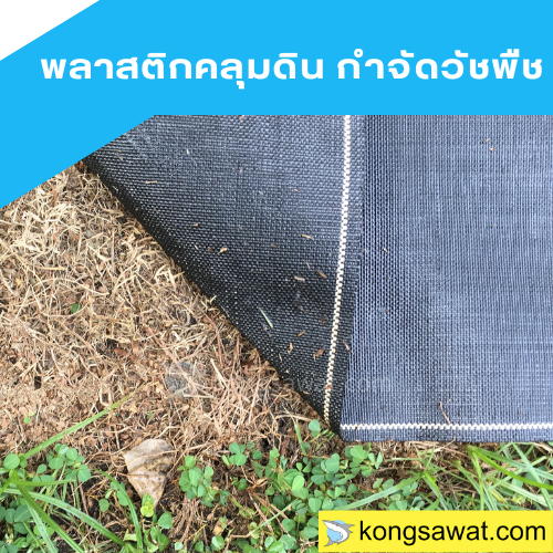 พลาสติกคลุมดิน กำจัดวัชพืช 2.0 × 5/10 เมตร