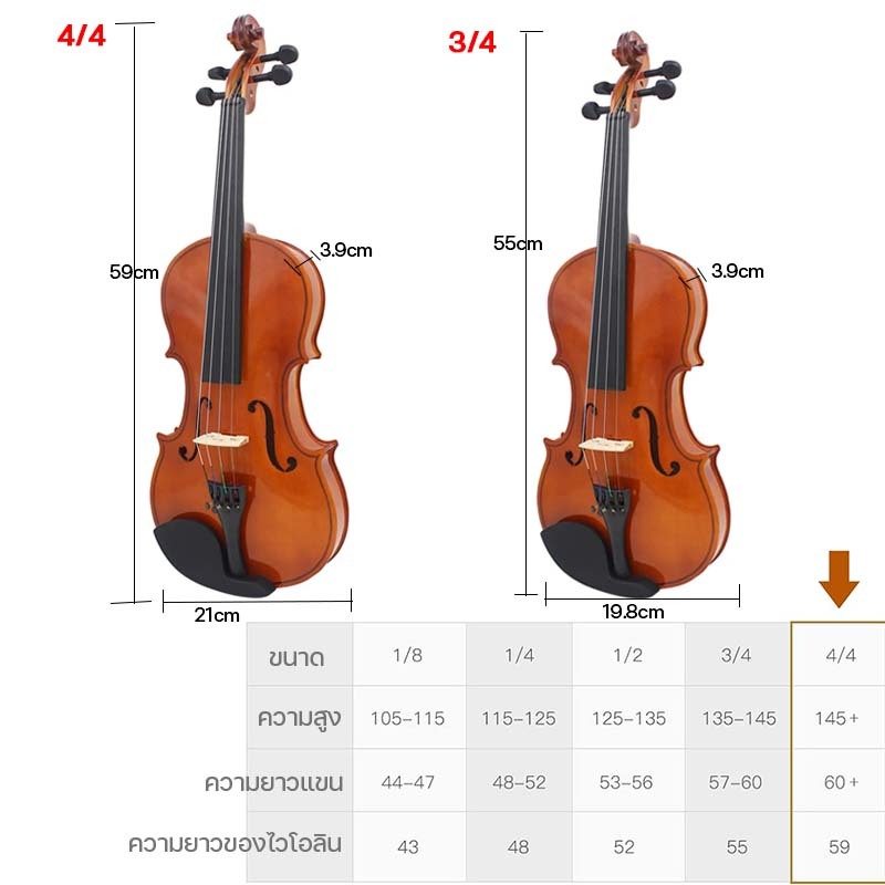 รูปภาพ 2