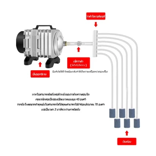 ACO-208/318 ปั๊มออกซิเจนลูกสูบปั๊มลมพิพิธภัณฑ์สัตว์น้ําออกซิเจนกุ้งออกซิเจนบ่อปลาปั๊มตู้ปลา 6CH ปั๊มลมใช้สําหรับปั๊มน้ํา