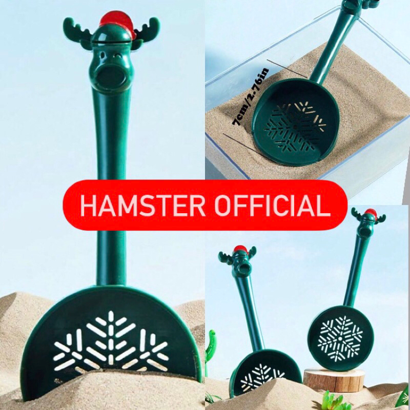 รูปภาพ 5