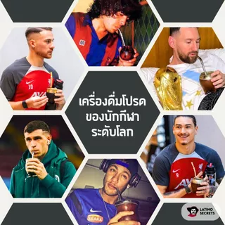 ชาเยอร์บามาเต (Yerba Mate) ขนาดทดลอง รวมหลายแบรนด์