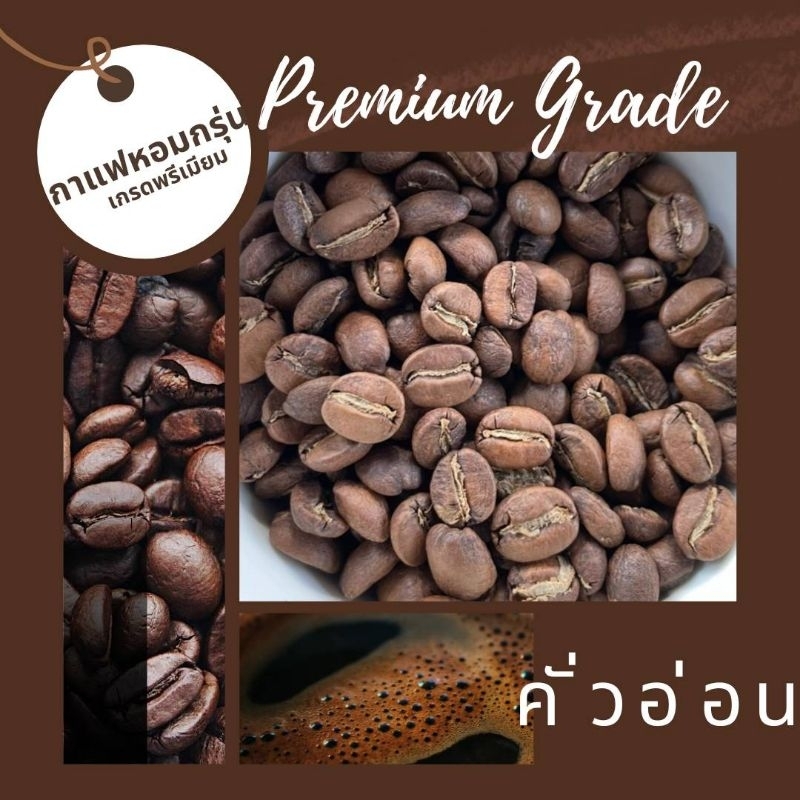 [ 250 กรัม ] เมล็ดกาแฟ เกรดพรีเมียม )เกรด AA อาราบิก้า 100% ดอยช้าง เชียงราย