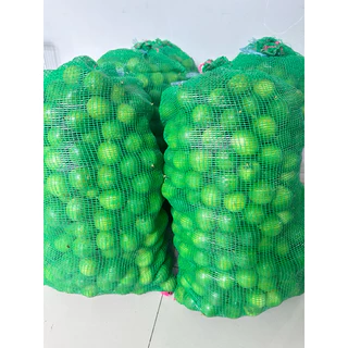 มะนาวแป้น ลูกเล็ก(35-40ลูก) เปรี้ยวจี๊ด น้ำเยอะ ไม่คัดเกรด