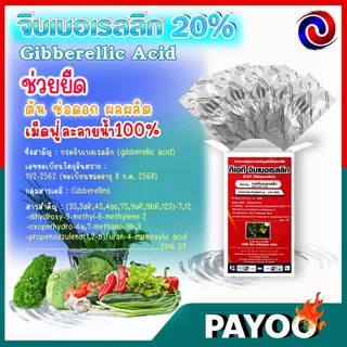 จิ๊บเม็ด จิบเบอเรลลิน จิบเบอเรลลิก แอซิด ชนิดเม็ด Gibberellic Acid 20%(GA3) เม็ดฟู่ละลายน้ำ100% / ((มีหลายตัวเลือก))