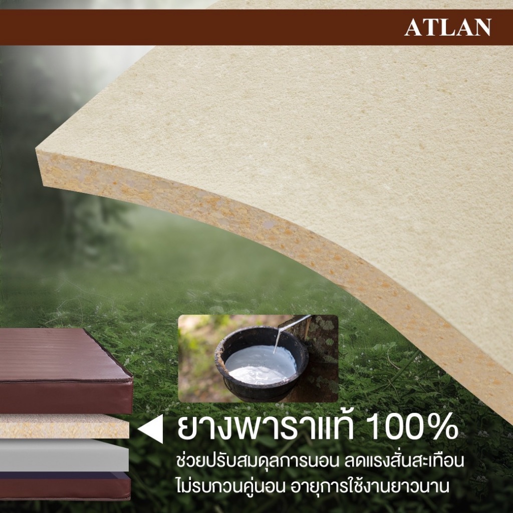 Bedisupreme ที่นอนยา