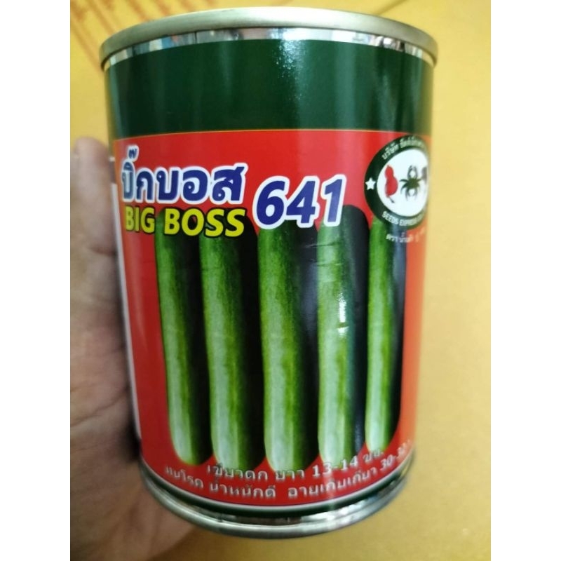 บิ๊กบอส641 แตงกวา เขียวดก ยาว 13-14ซม.