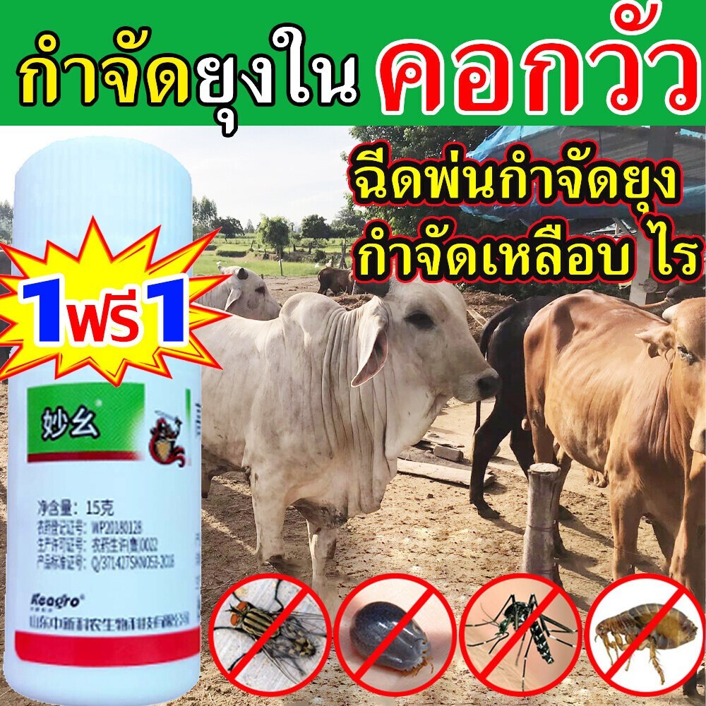 ยาไล่แมลงในวัว ใช้หนึ่งครั้งในคอกวัว 10ปีไม่มียุงและแมลงวัน กำจัดแมลงวันเหลือบยุงเห็บมดเหาหมัดแมลง ยาฉีดยุง