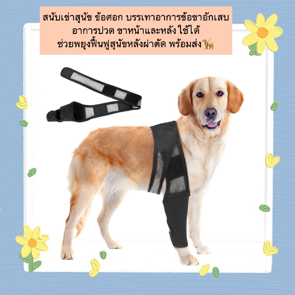 BN-1161 🦴 ผ้ารัดข้อเข่า ข้อศอก และพันรอบเอว เฝือกอ่อนบรรเทาอาการปวด - DogLemi  🔹 ผ้านุ่ม ยืดหยุ่นสูง ไม่แข็งกระด้าง