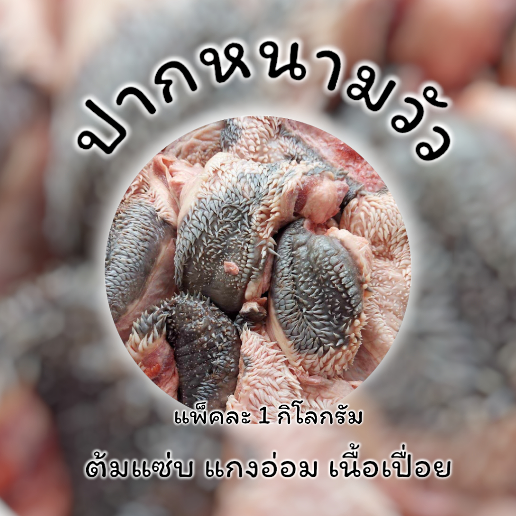 ปากหนาม ปากหนามวัว ปากหนามแช่แข็ง (น้ำหนัก 1 กิโลกรัม)