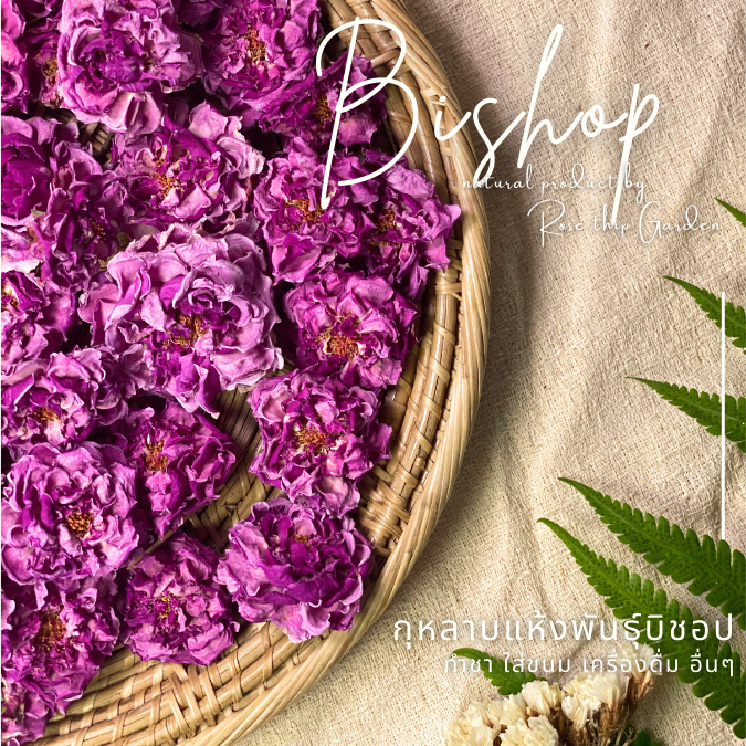 ชากุหลาบ ดอกกุหลาบแห้ง พันธุ์บิช็อป จากอังกฤษ Premium Natural Dried Rose 100% | Rose Thip Garden