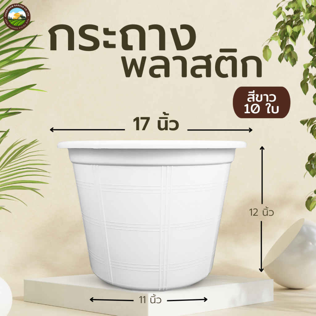 กระถางต้นไม้พลาสติก ขาวแคคตัส ราคาโรงงาน ราคาถูกที่สุด สีขาว 17 นิ้ว 10 ใบ