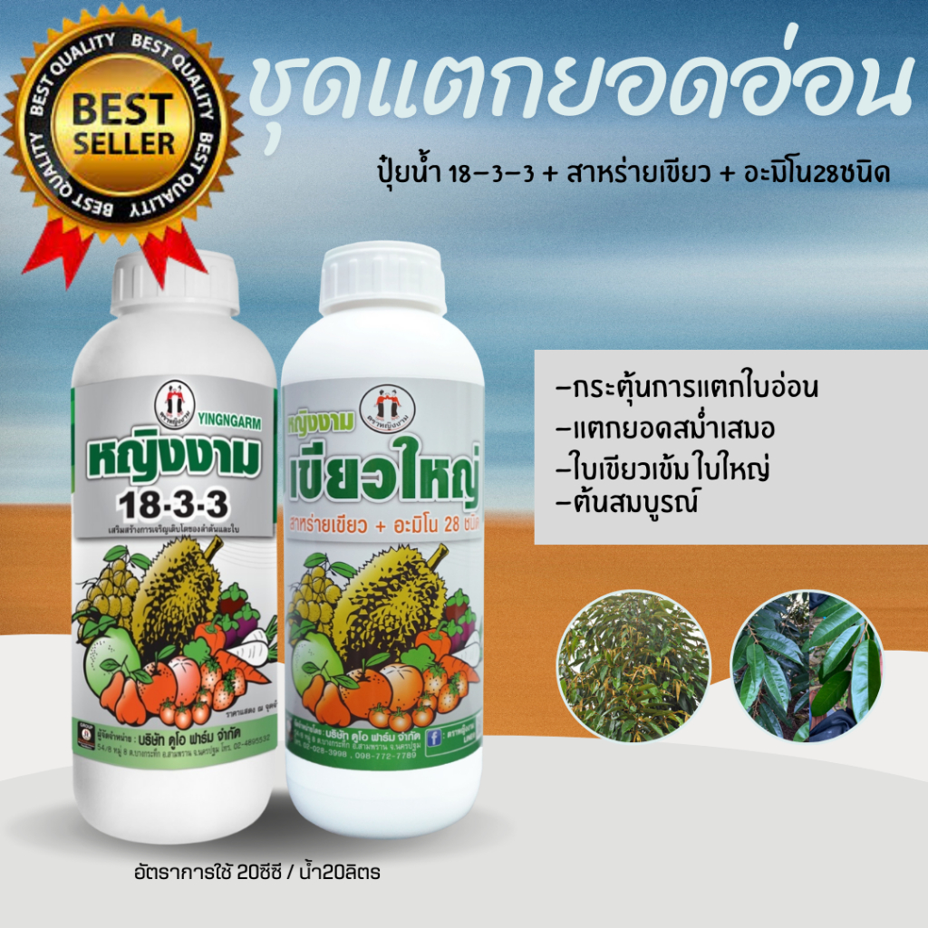 ชุดแตกยอดอ่อน ตราหญิงงาม ช่วยให้ใบแตกได้ไว แตกเสมอกันทั้งต้น