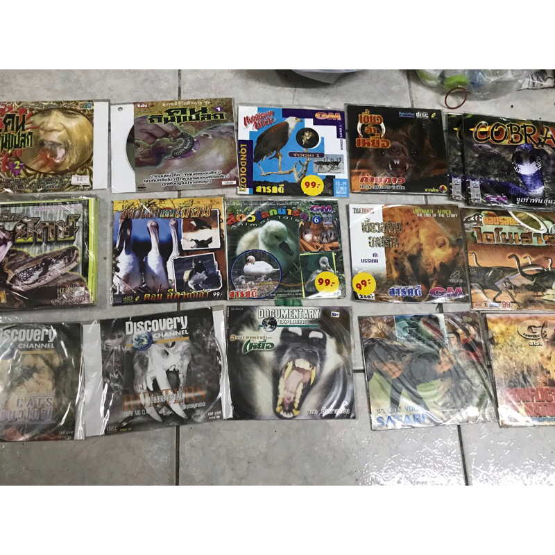 VCD,วีซีดีสารคดีซอง (4) ชีวิตสัตว์โลก แผ่นแท้ มาสเตอร์ มือ 1