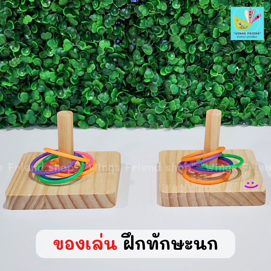 ของเล่นฝึกทักษะนก ของเล่นนกแก้ว
