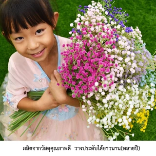 ยิปโซฟิลลา ดอกไม้ประดิษฐ์ สวยงาม เสมือนจริง (พร้อมส่งในไทย ถึงเร็วทันใจ)