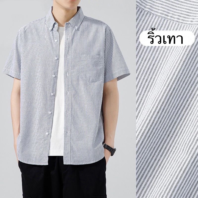 เสื้อเชิ้ตผู้ชาย แขนสั้น OXFORD ลายทาง ริ้ว – RALPH T OFFICIAL เสื้อเชิ้ตแขนสั้น