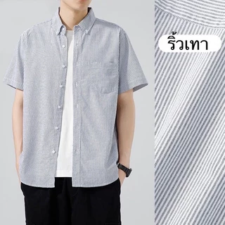 เสื้อเชิ้ตผู้ชาย แขนสั้น OXFORD ลายทาง ริ้ว - RALPH T OFFICIAL เสื้อเชิ้ตแขนสั้น