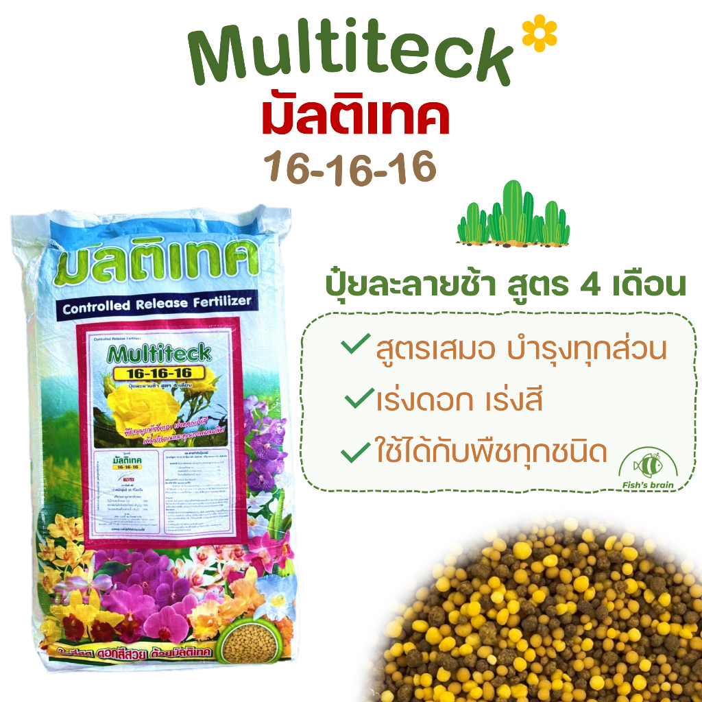 ปุ๋ยมัลติเทค ปุ๋ยละลายช้าสูตรเสมอ ปุ๋ยบำรุงต้น Multiteck 16-16-16