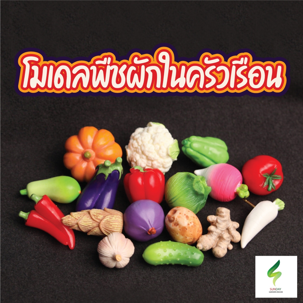 รวมโมเดล พืชผักสวนครัวจิ๋ว สำหรับจัดสวน จัดเชล จัดบูธจิ๋วมินิ ตกแต่งบ้าน คอนโซลรถ อื่นๆ