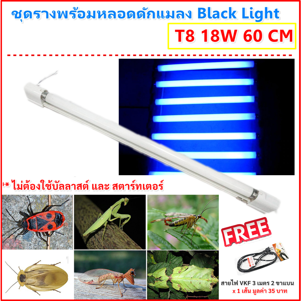 พร้อมติตดั้ง ชุด รางพร้อมหลอด ล่อแมลง Black Light T8 18W 65CM 220Vตรวจธนบัตร หาสารเรืองแสง ดักแมงกะชอน แมงดา จิ้งหรีด