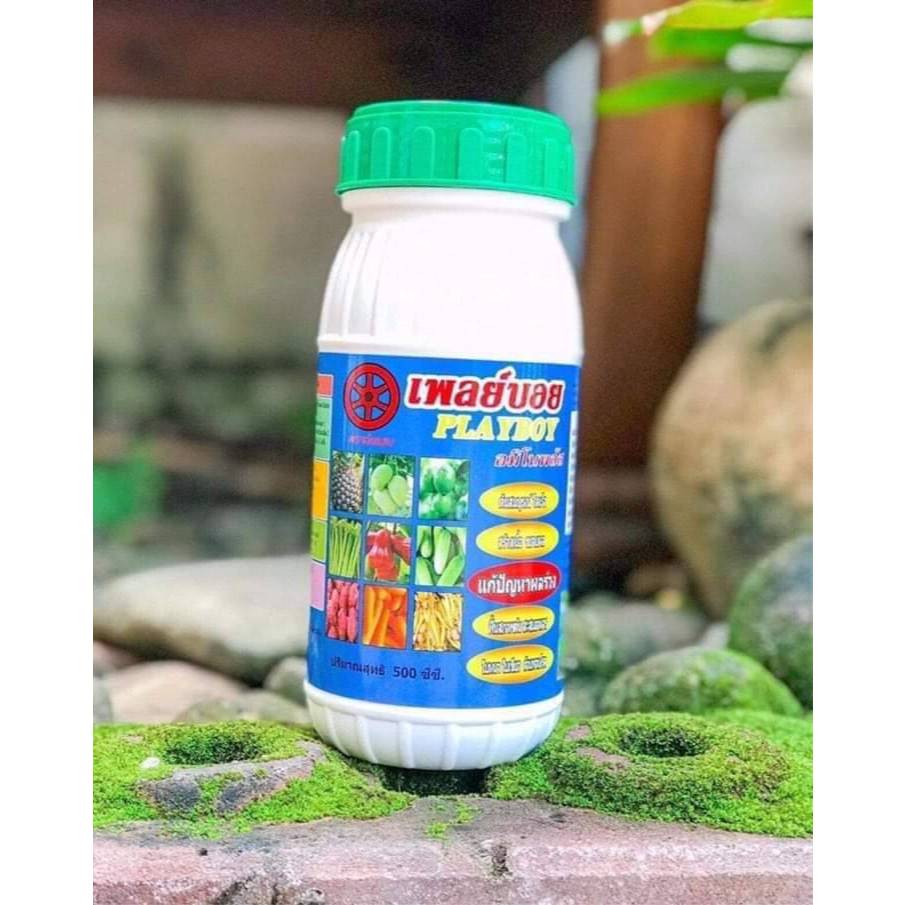 ผสมเทียมเพลย์บอย ช่วยให้รังไข่แข็งแรง ผสมติดดี ลดปัญหาการหลุดร่วง ขนาด 500ซีซี