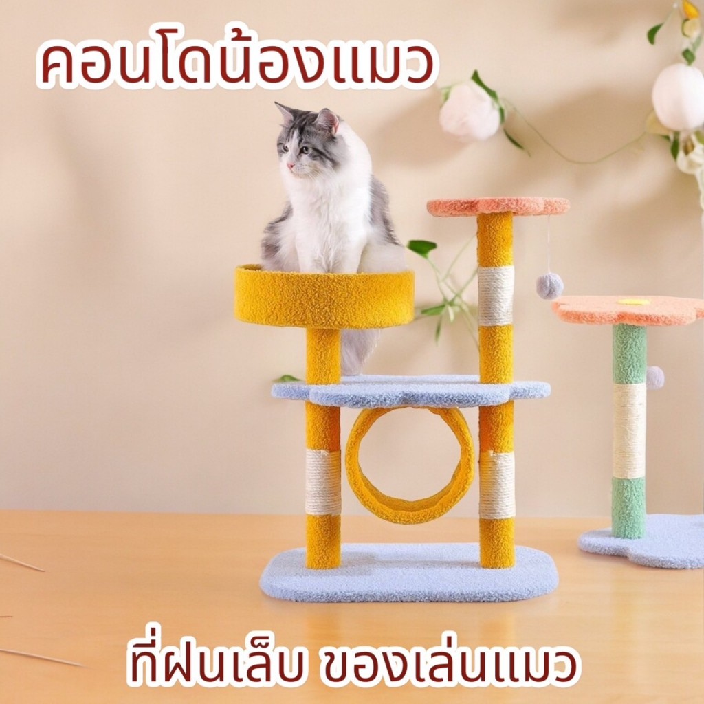 คอนโดแมว ของเล่นแมว บ้านแมว อุปกรณ์สัตว์เลี้ยง ที่ลับเล็บแมว ของใช้แมว ที่ฝนเล็บแมวCD8