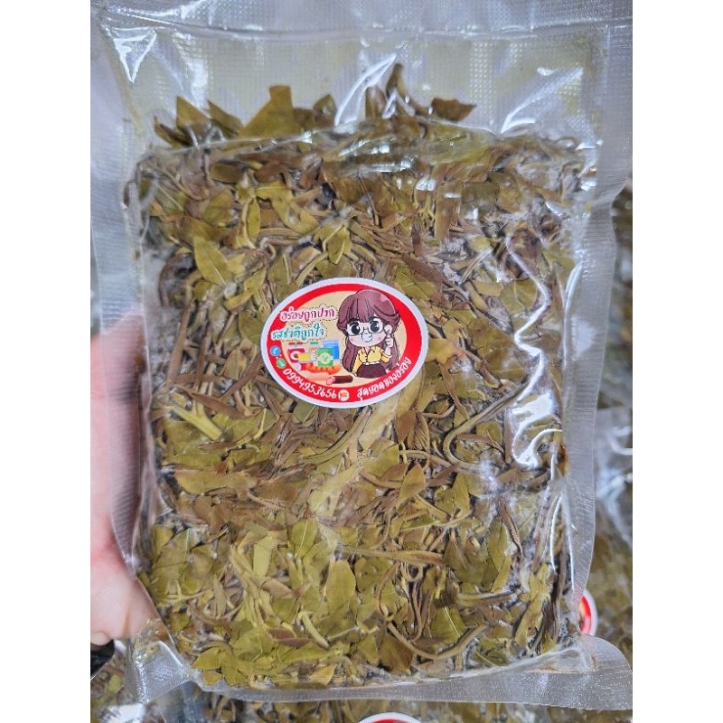 ผักขี้เหล็กต้ม ( 500 กรัม ) ยอดขี้เหล็กต้ม แพคซีลสุญญากาศ