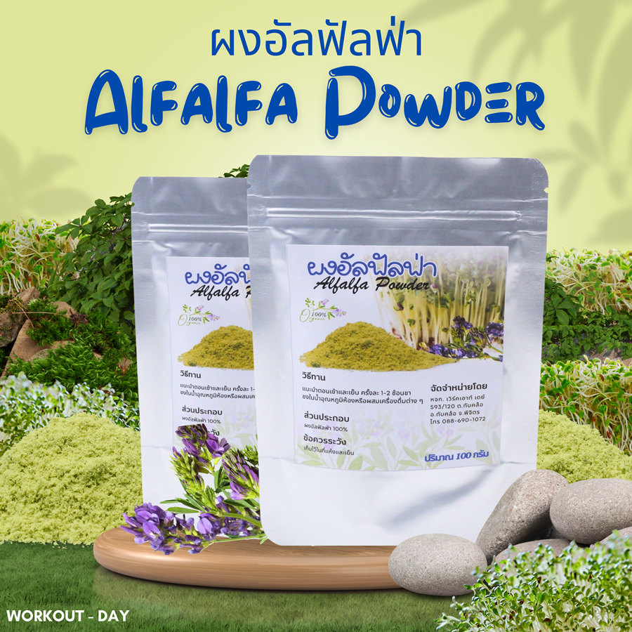 ผงอัลฟัลฟา Alfalfa Organic ขนาด 100กรัม ราชาแห่งอาหารทั้งมวล
