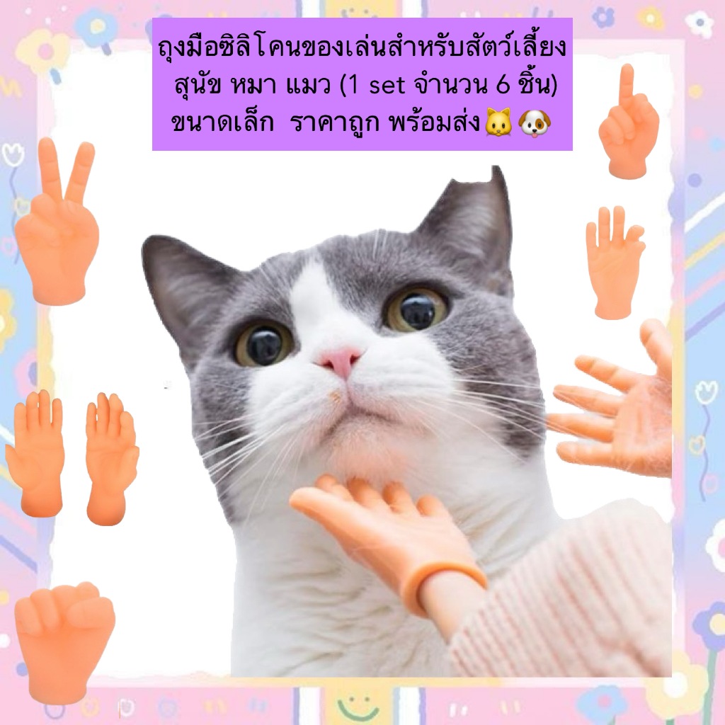 PP-1173 ถุงมือซิลิโคนของเล่นสำหรับสัตว์เลี้ยง 🐶🐱 เหมาะกับสุนัขและแมว ขนาดเล็กน่ารัก 1 เซ็ตมี 5 ชิ้น 💖 พร้อมส่ง