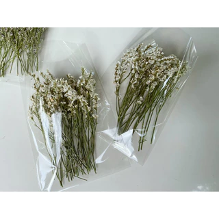 ดอกไม้แห้ง แคสเปีย/สุ่ย🌿🌸