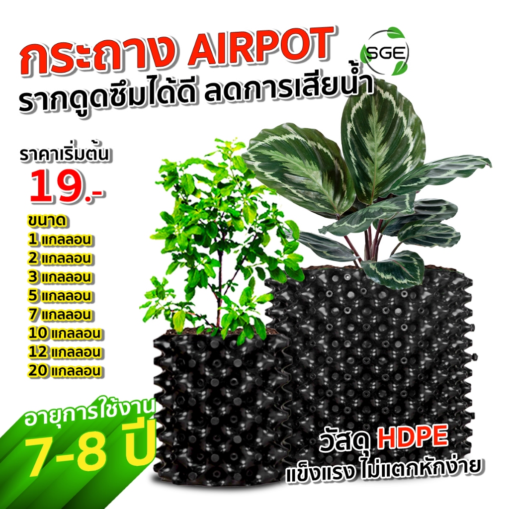 SGE กระถางต้นไม้ กระถางดอกไม้ Air Pot( AP แนะนำ 5 ชิ้น ราคาพิเศษ!!!) พลาสติก เกรด HDPE ประกันคุณภาพ
