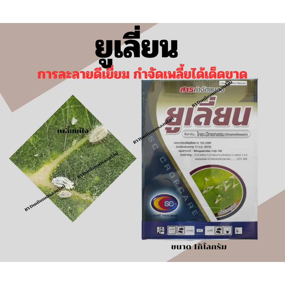 ยูเลี่ยน ขนาด1กิโล ไทอะมีทอกแซม25% ขนาด1กิโล  สารกำจัดแมลงปากดูด เพลี้ยชนิดต่างๆ ได้ผลเร็ว คุ้มครองนาน