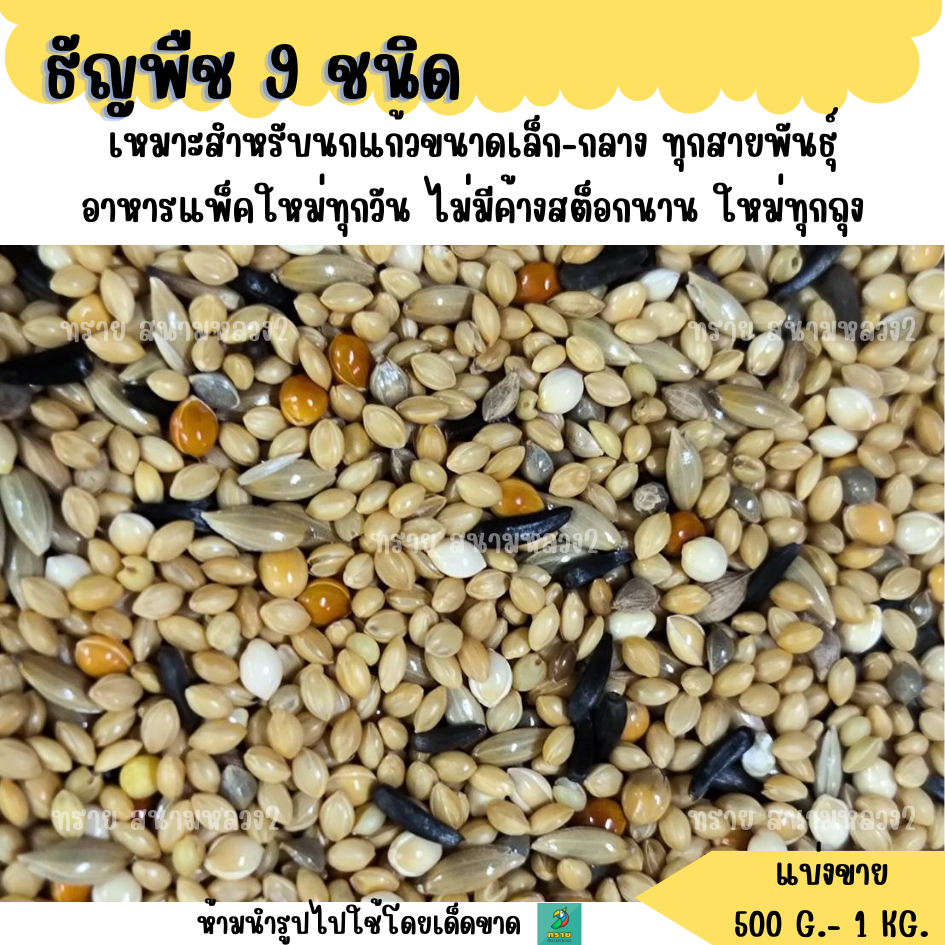 ธัญพืช 9 ชนิด (แบ่งขาย 500G.-1KG.) อาหารนกแก้วขนาดเล็กทุกสายพันธุ์