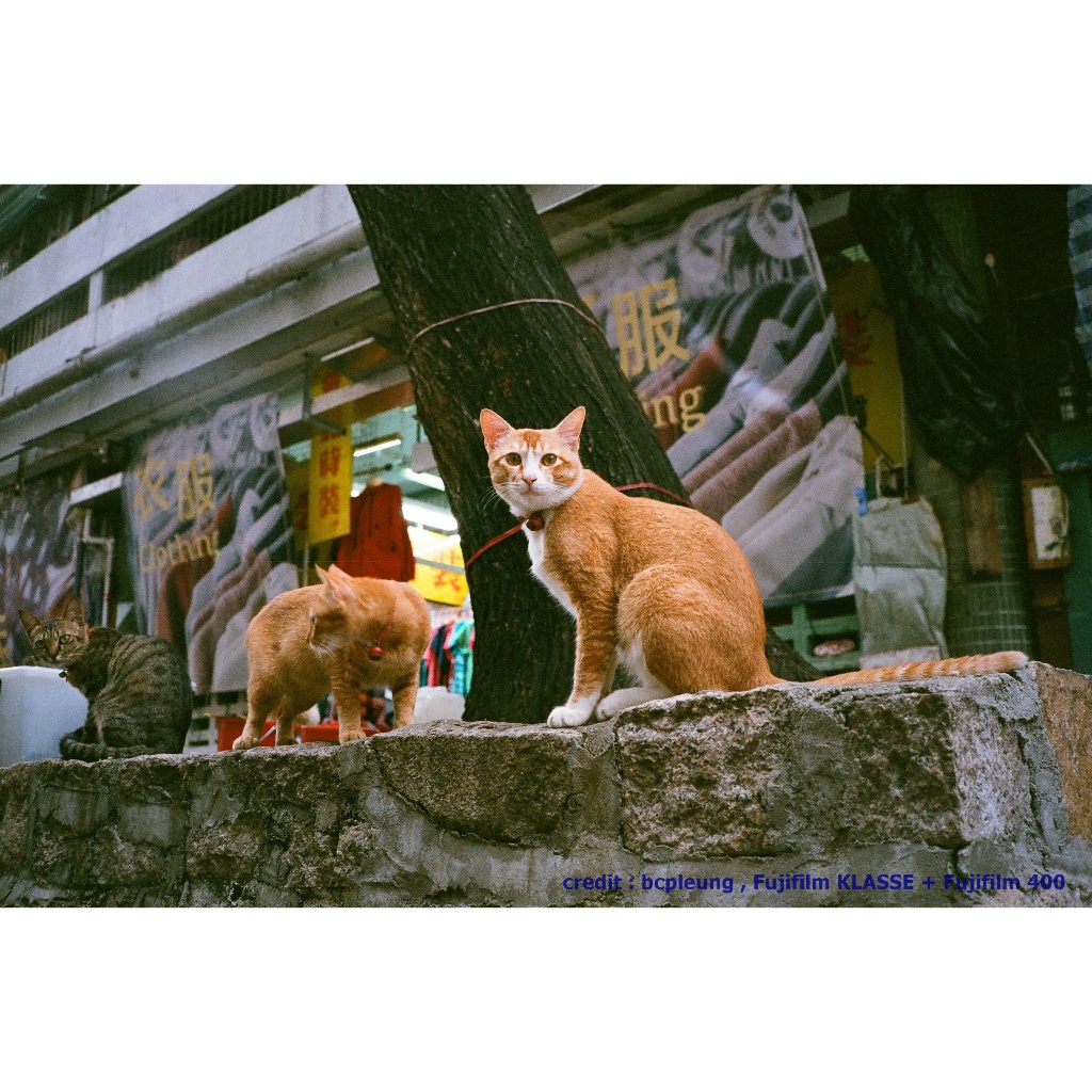 ฟิล์มสี แพ็ค 3 ม้วน Fujifilm 400 35mm 36exp Color Film ฟิล์มถ่ายรูป ฟิล์ม 135 Fuji 400 USA