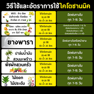 (1ขวด) ไคโตซานมิค ไคโตซานพืช สูตรพืช เสริมภูมิต้านทาน โรคพืช เชื้อรา ไวรัส แบคทีเรีย สูตรพืช 500 ซีซี