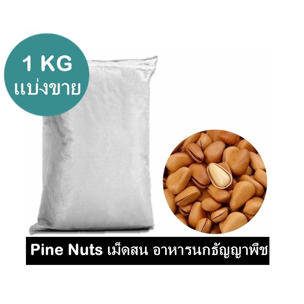 Pine Nuts เม็ดสน อาหารนกธัญญาพืช มี 3 ขนาดให้เลือก