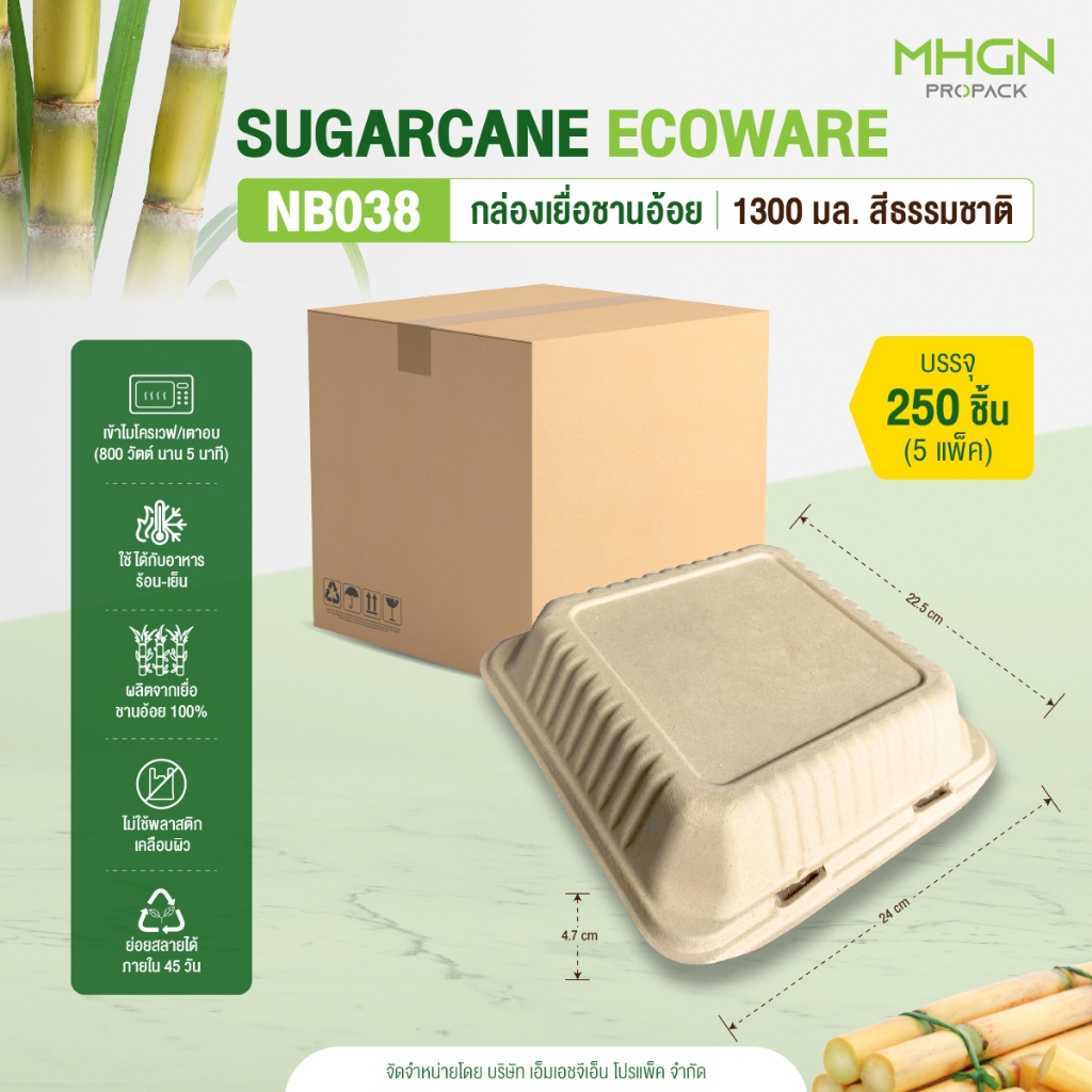 กล่องเยื่อชานอ้อย 9x9 นิ้ว 1300มล. สีธรรมชาติ บรรจุ 250 ชิ้น/ลัง