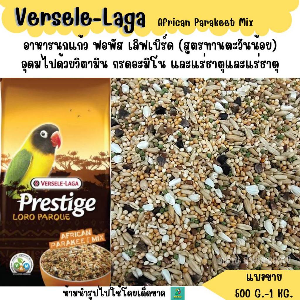 Versele-Laga African Parakeet Mix (แบ่งขาย 200-500G.) อาหารนกฟอพัส เลิฟเบิร์ด  (ทานตะวันน้อย)