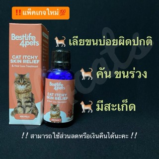 อาหารเสริม วิตามิน แมวคัน แมวขนร่วง แมวเป็นแผล